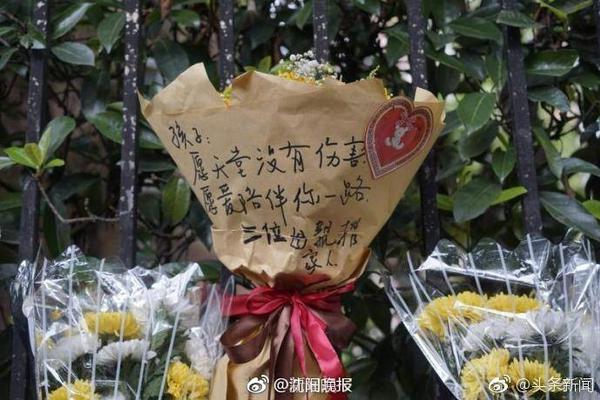 有钱任性！每日邮报：哈兰德花费33万英镑为女友购买爱马仕手提包